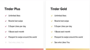 Tinder Plus APK Latest v14.17.0 Download Free For Android 3
