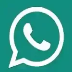WhatsApp Pro APK by apkasal.com